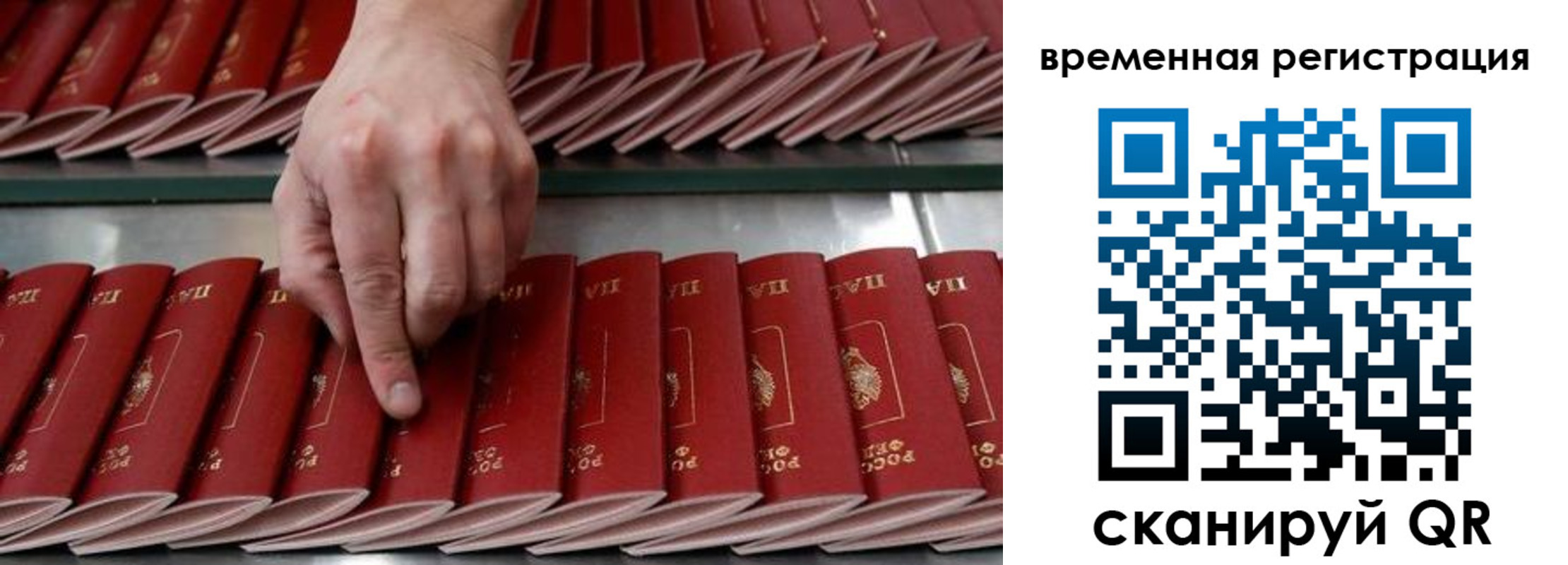 временная регистрация в квартире в Оленегорске